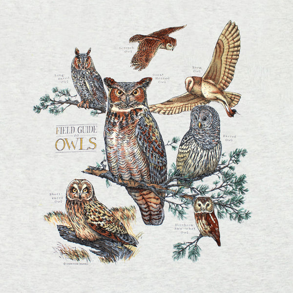 Field Guide To Owls Youth Ash T-shirt