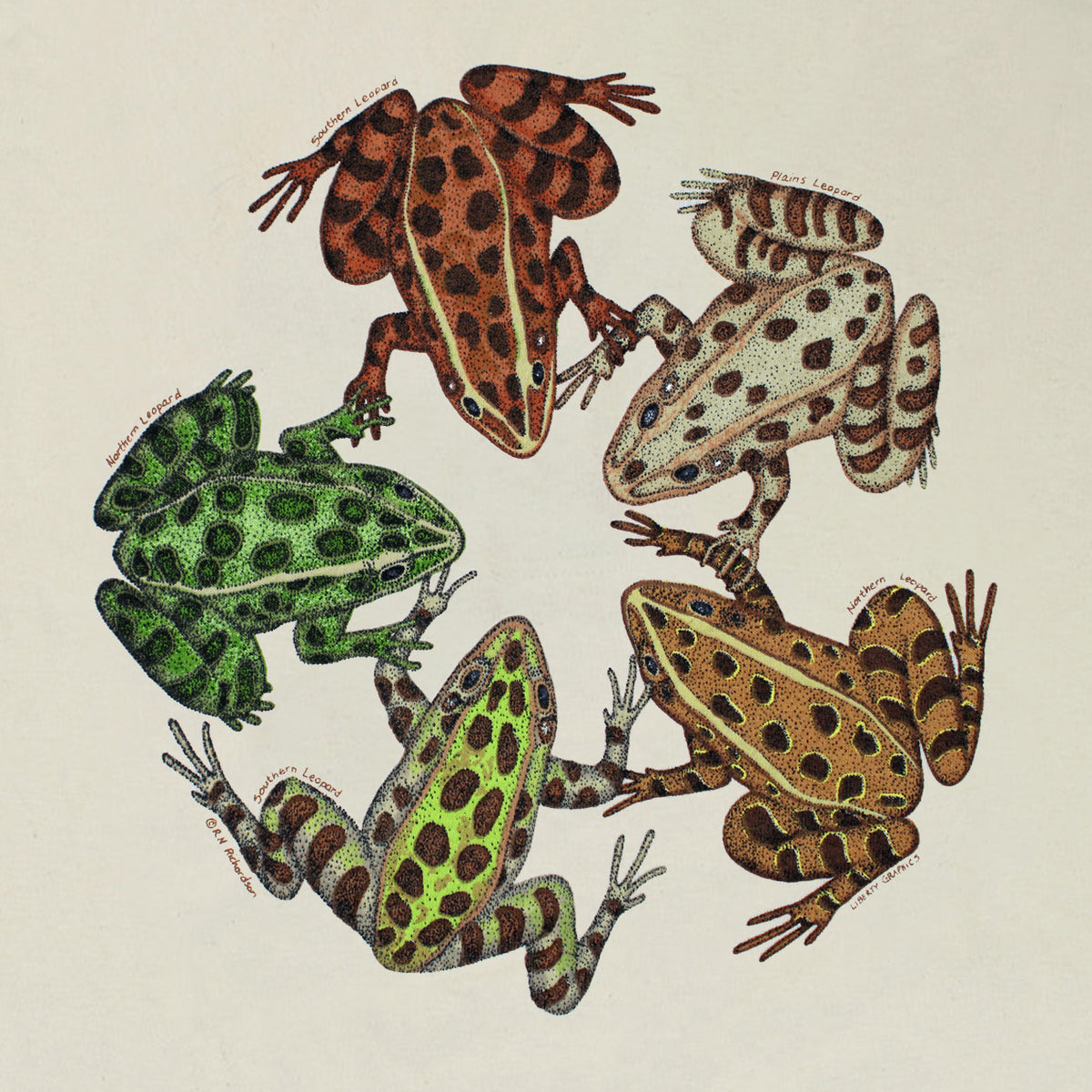 frogfriends_close_1200x1200.