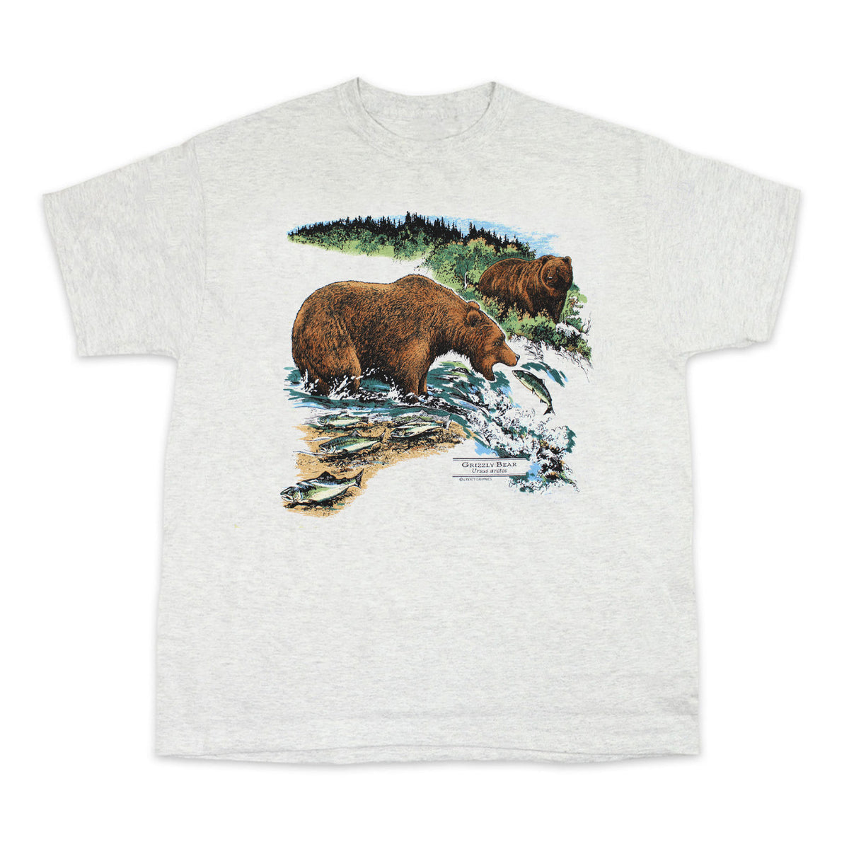 Grizzly Bears Youth Ash T-shirt – Liberty Graphics