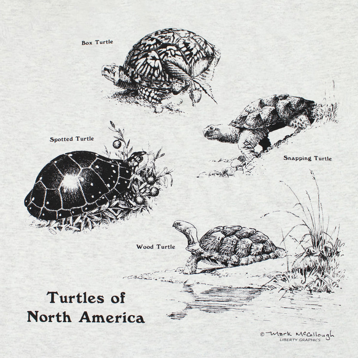 Turtles Of North America Adult Ash T-shirt – Liberty Graphics