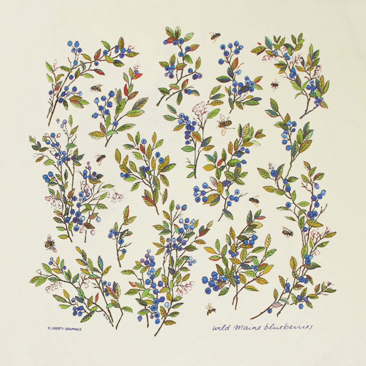 wild_blueberries_close_b93610f