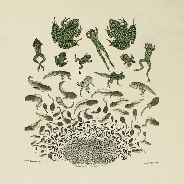 Frog Metamorphosis Adult Natural T-shirt