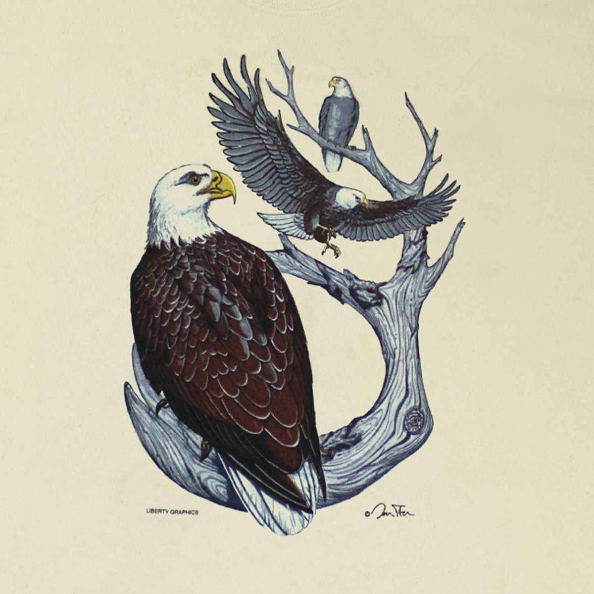 Liberty Graphics Bald Eagles Youth Natural T-Shirt Large