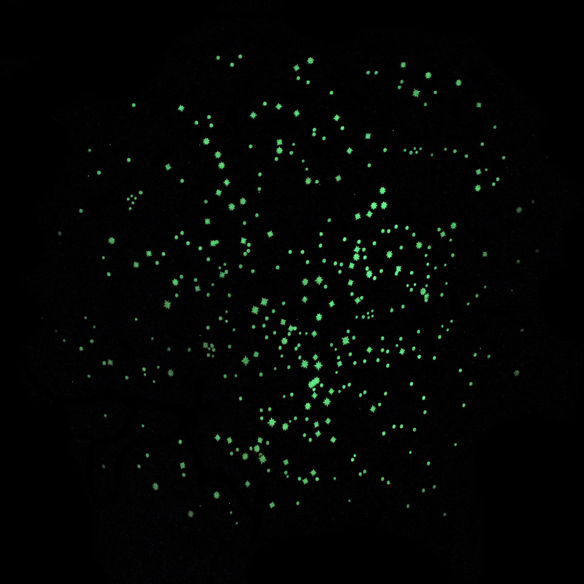 starry_glow_7eab4f43-bb70-4696