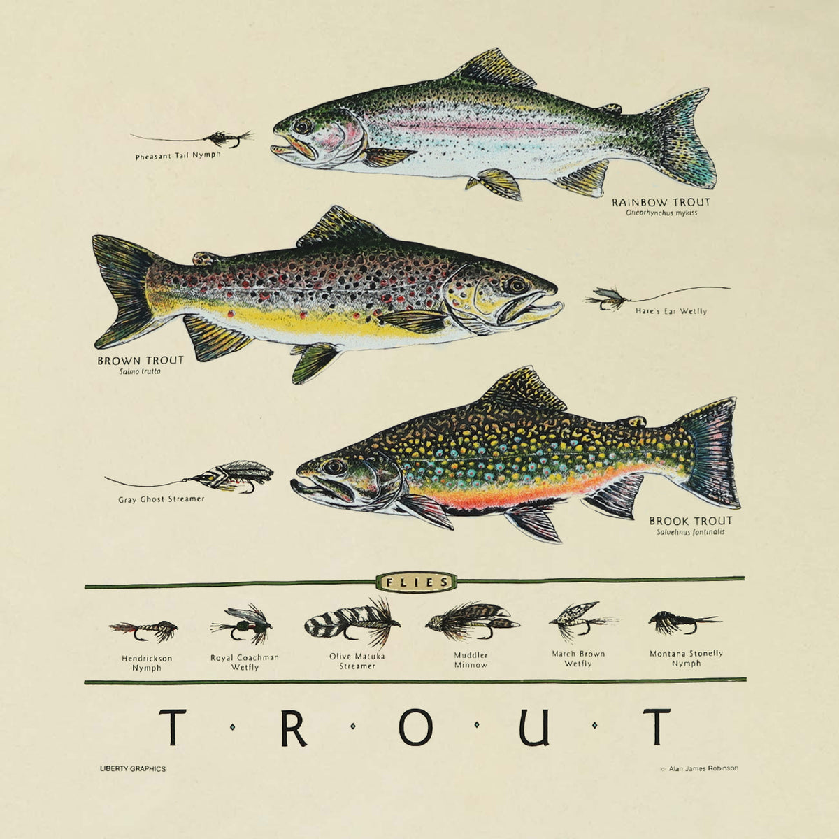 Vintage Fly Fishing Print - Trout Flies V Neck T Shirt by SFT