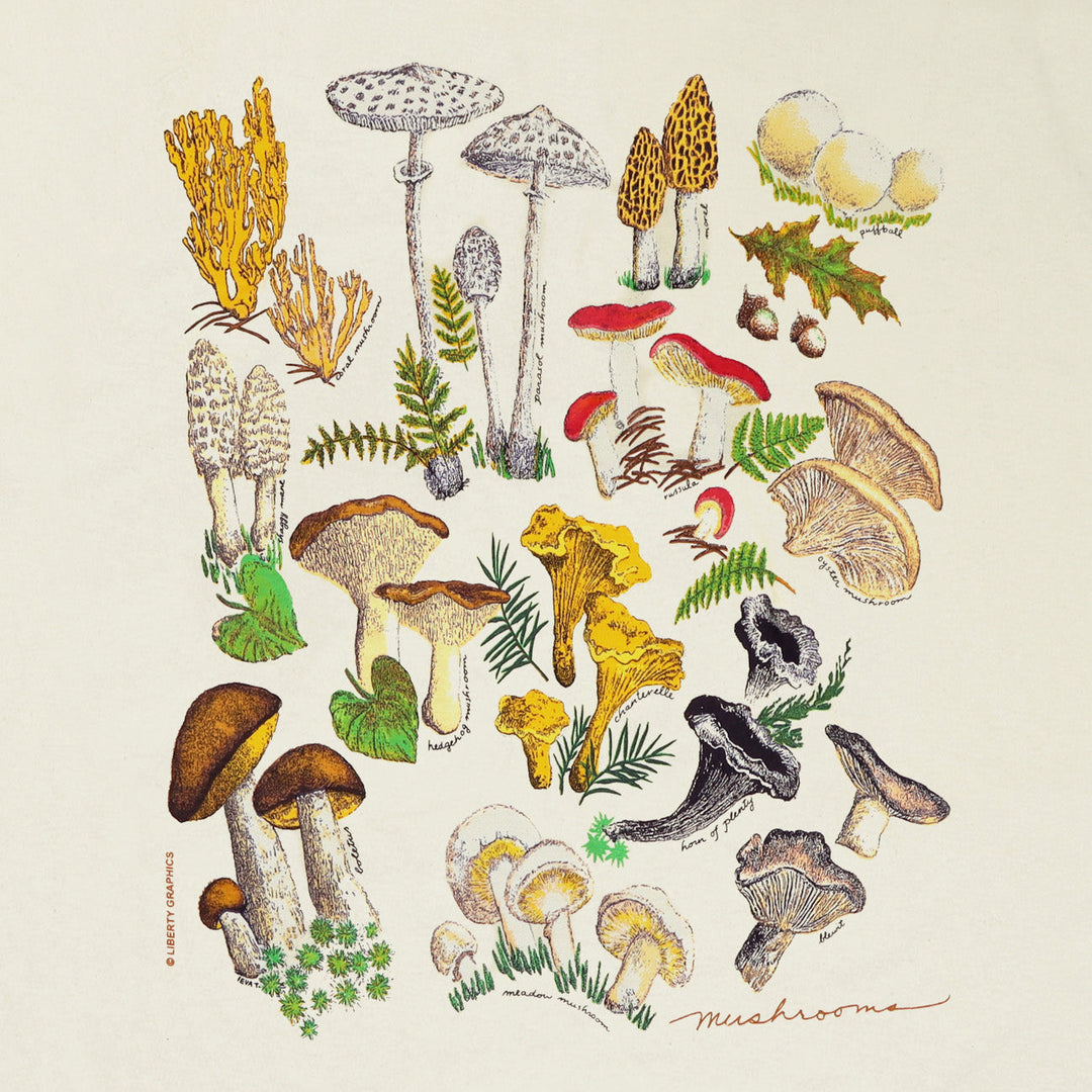 Flowers, Plants, & Fungi