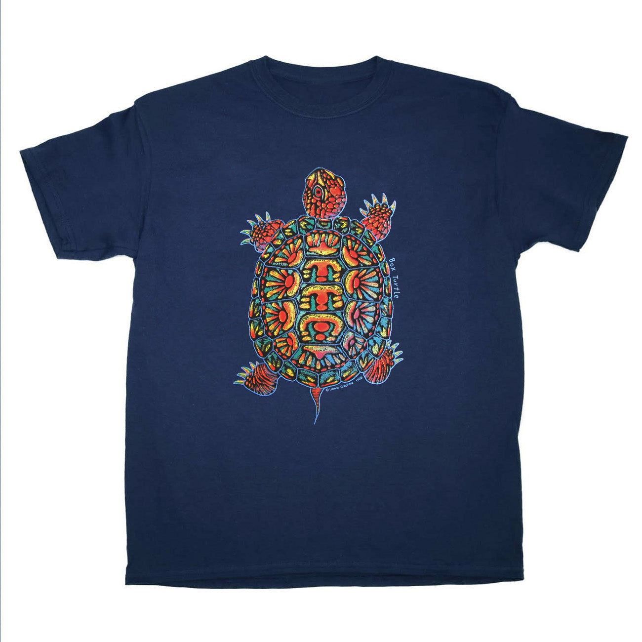 boxturtle_youth_dusk_1300x.jpg