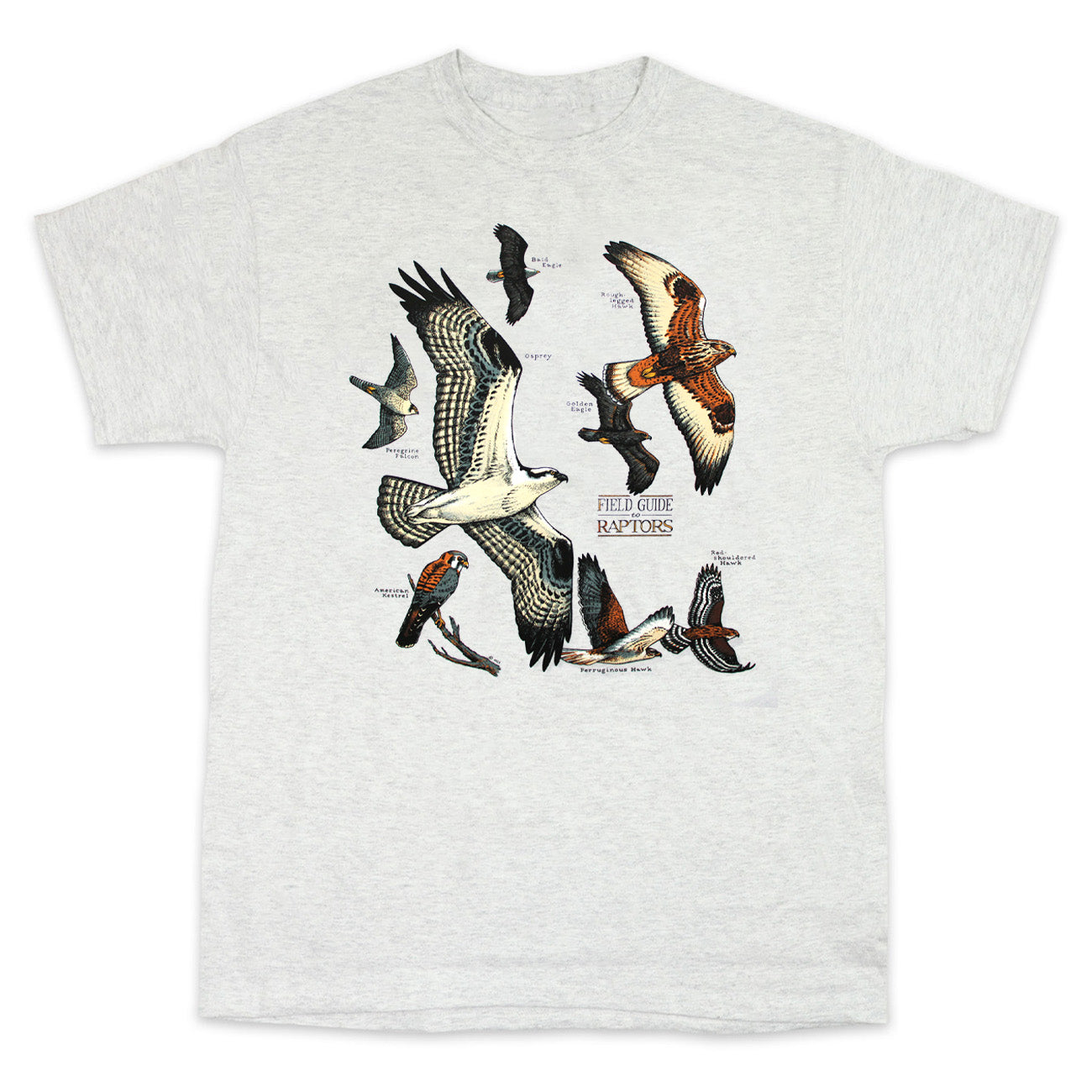 Birds Of Prey Men's Queen Of Diamonds T-Shirt – Warner Bros Graphic Tee - View #5