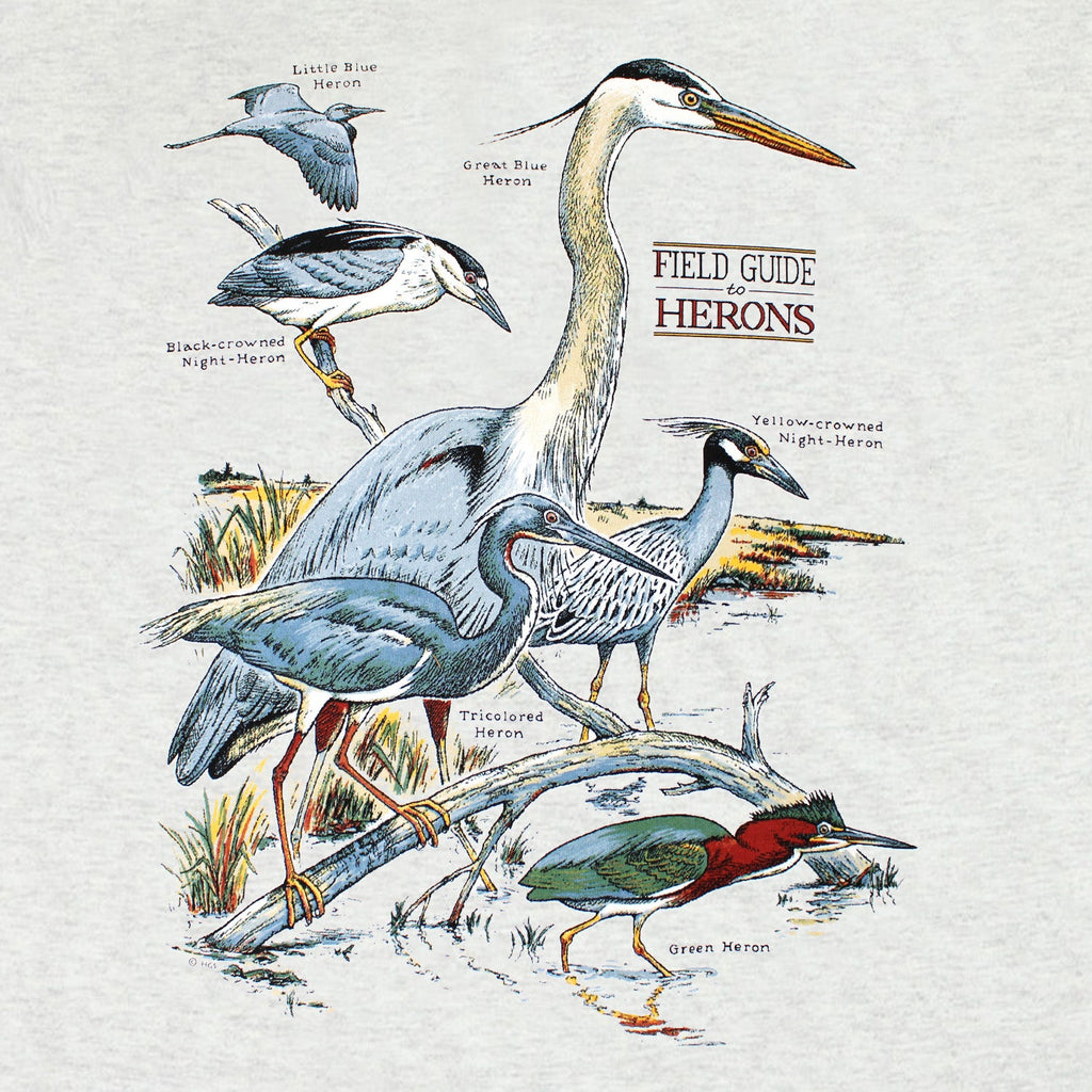 Field Guide To Herons Adult Ash T-shirt X-Large Field Guide To Herons Adult Ash T-shirt X-Large