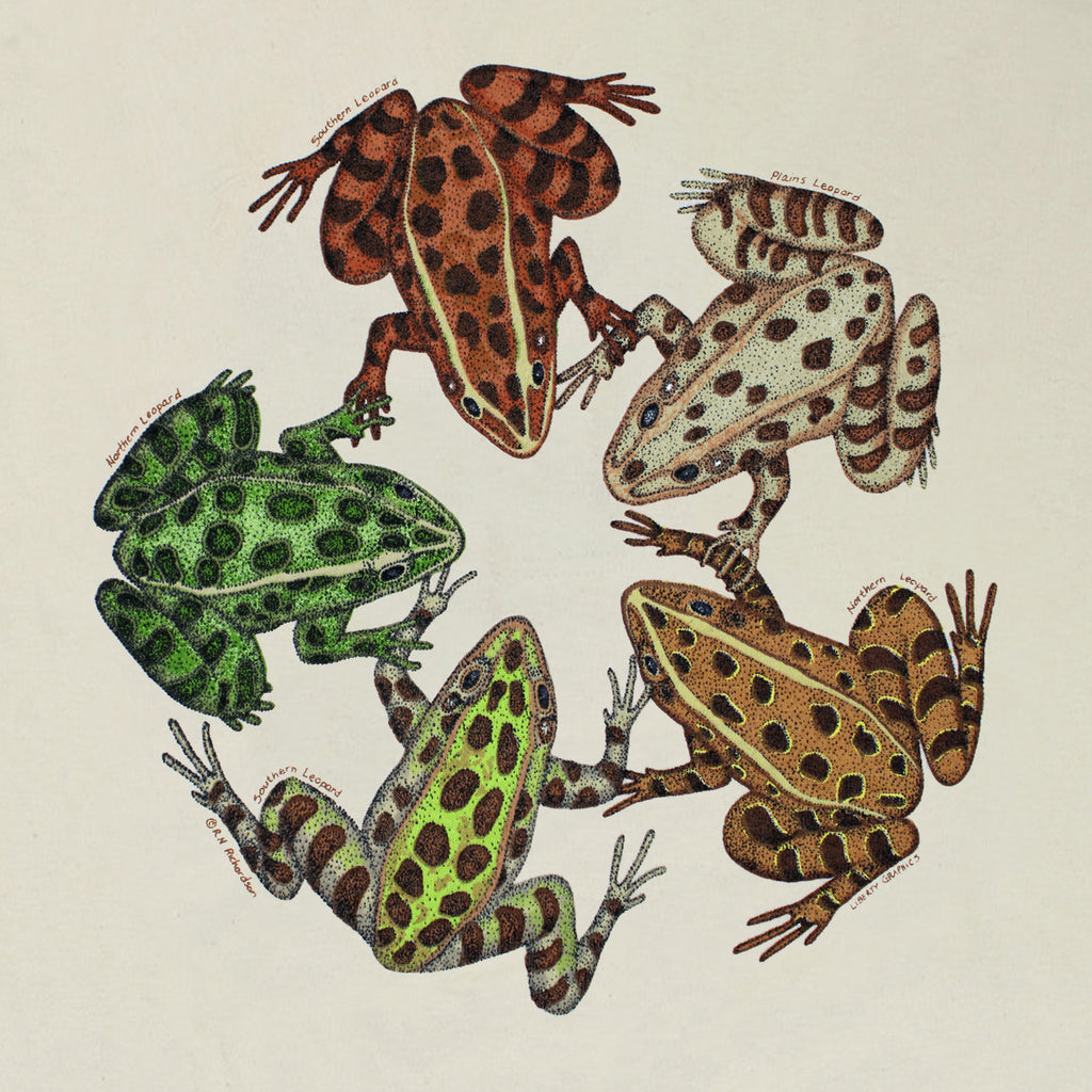 Frog Friends Adult Stone T-shirt – Liberty Graphics