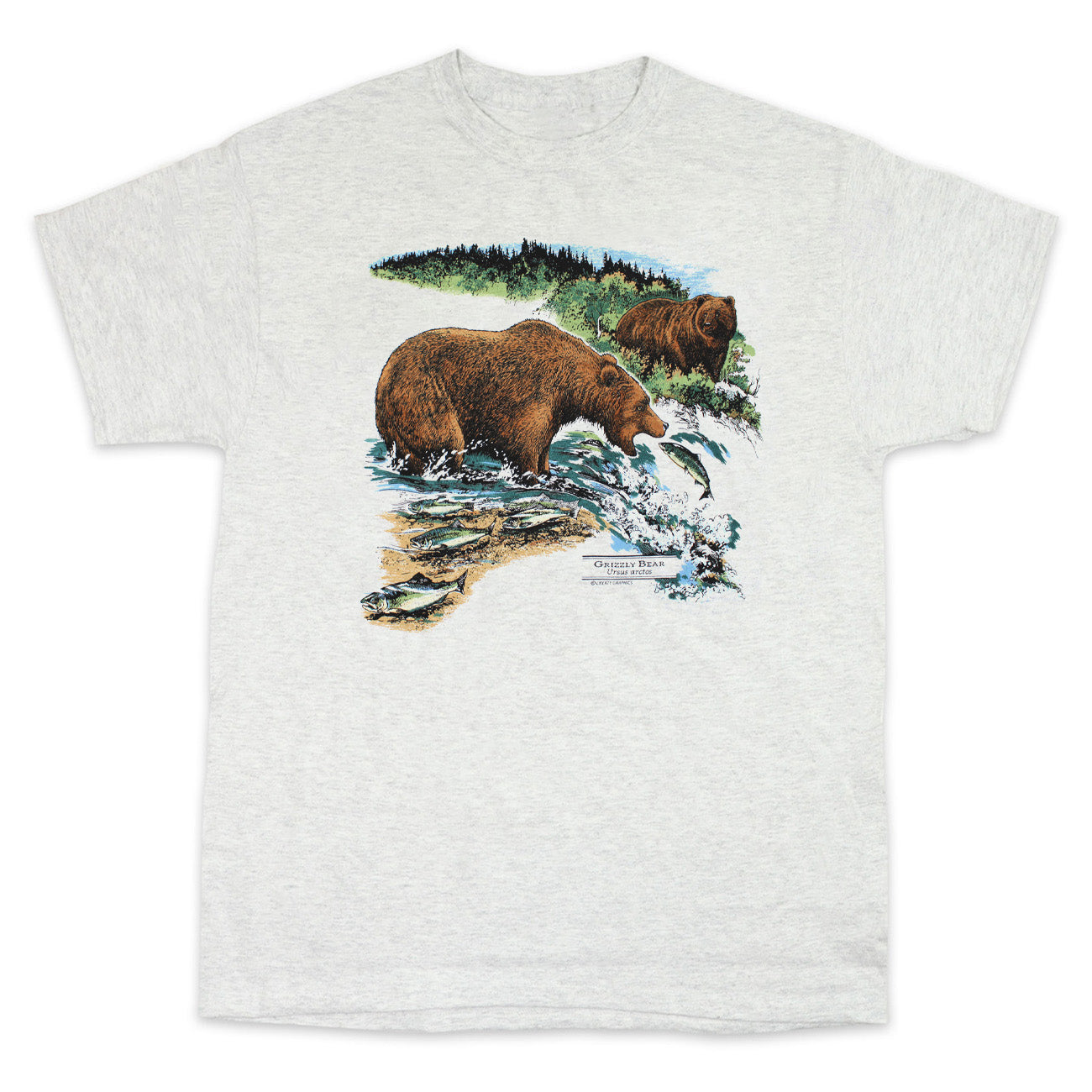 Grizzly Bears Adult Ash T-shirt – Liberty Graphics