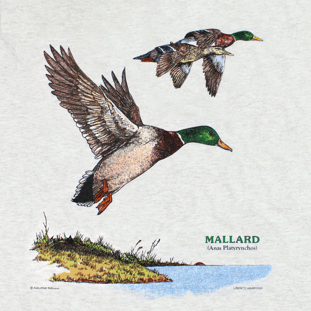 Mallard Duck Adult Ash T-shirt – Liberty Graphics