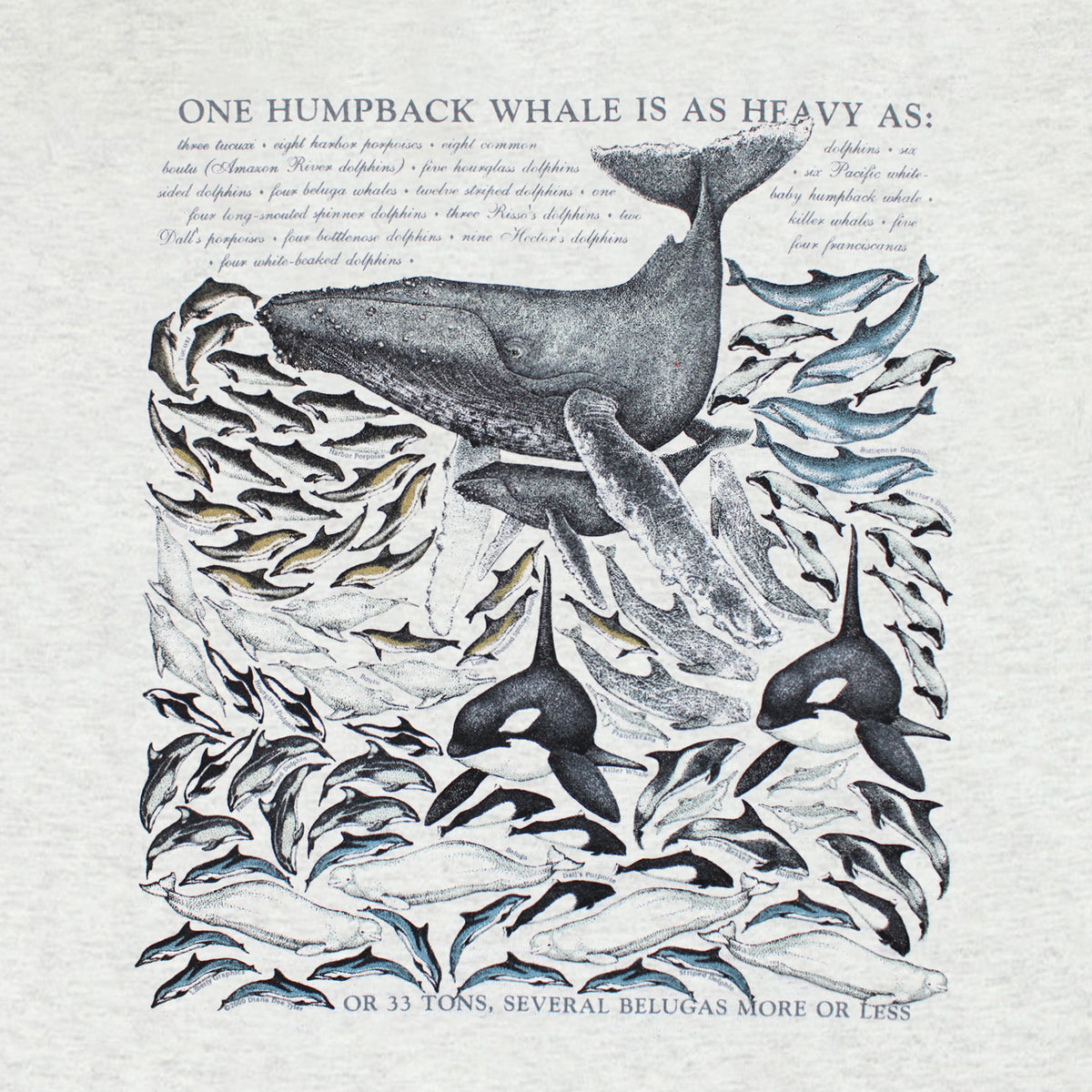 One Whale Is As Heavy As... Adult Ash T-shirt – Liberty Graphics