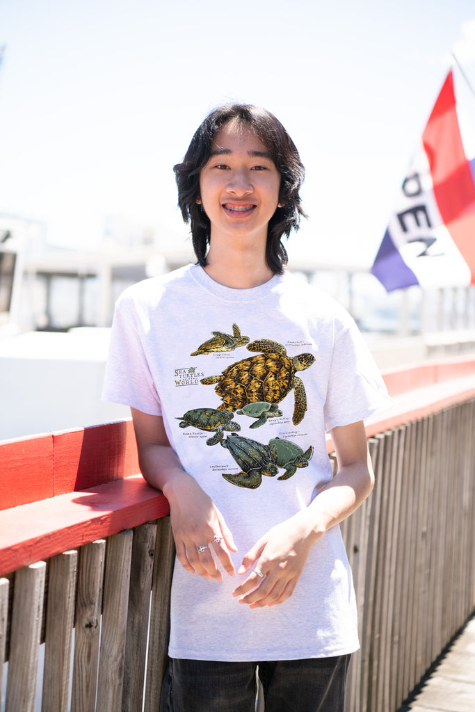 Sea Turtles Of The World Adult Ash T-shirt – Liberty Graphics