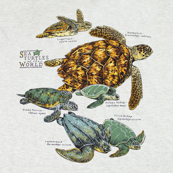 Sea Turtles Of The World Youth Ash T-shirt