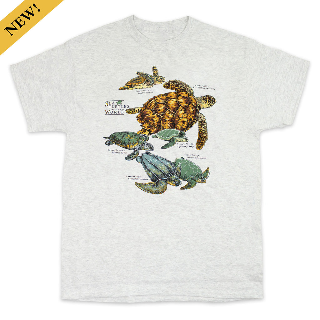 Sea Turtles Of The World Adult Ash T-shirt