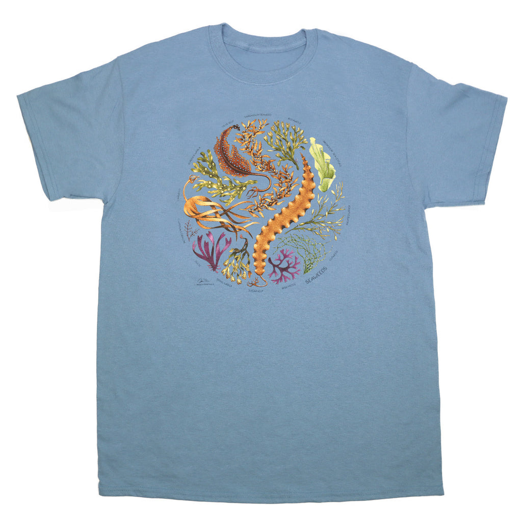 Seaweeds Adult Stone Blue T-shirt