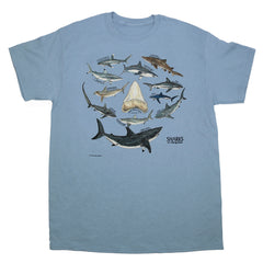 The Shark T