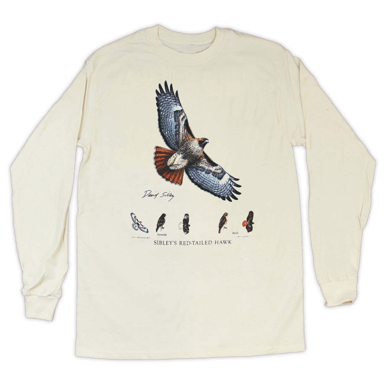 Flappy Bird フラッピーバード Tシャツ (古着) sibley_redtail_hawk_adult_LS_1