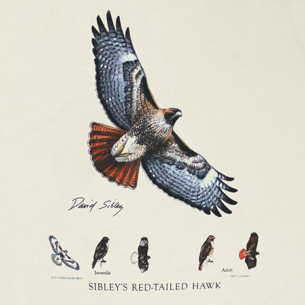 David Sibley's Red-Tailed Hawk Adult Natural 2-Sided T-shirt