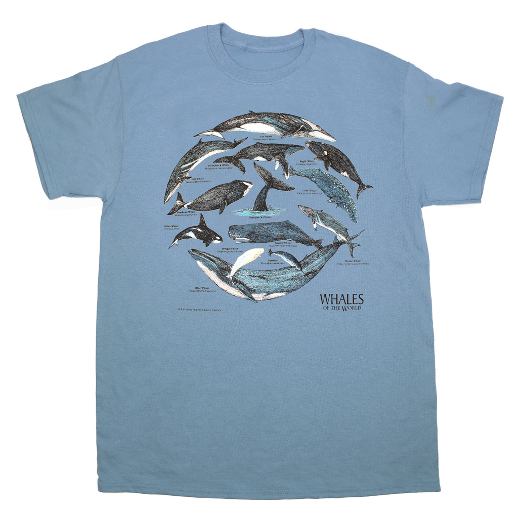 Whales Of The World Adult Stone Blue T-shirt