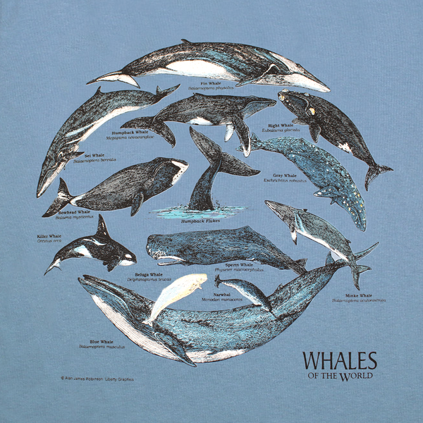 Whales Of The World Adult Stone Blue T-shirt