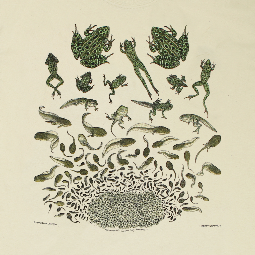 Frog Metamorphosis Adult Natural T-Shirt Medium