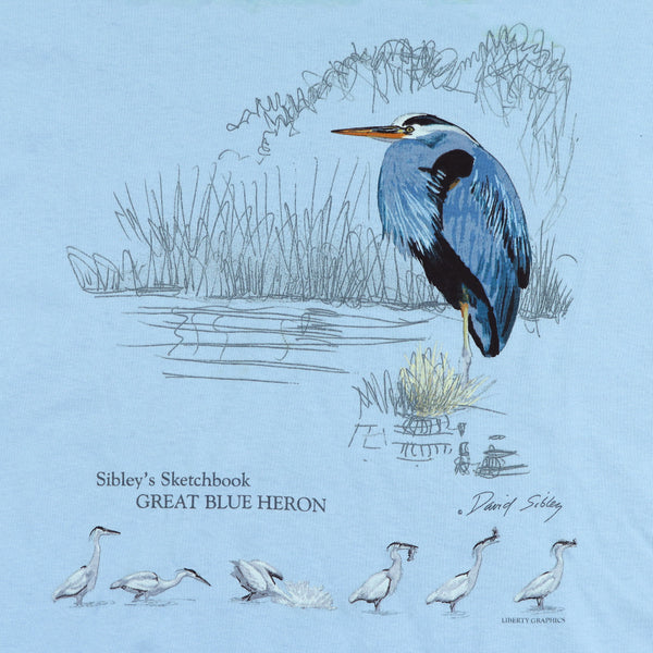 David Sibley's Great Blue Heron Ladies Light Blue T-shirt