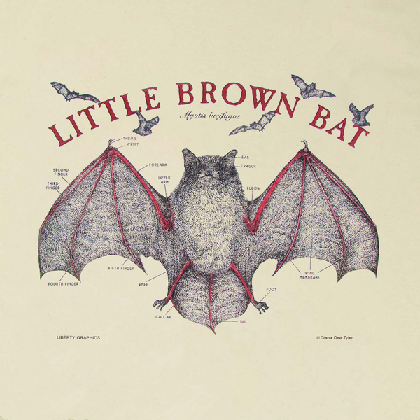 Little Brown Bat Adult Organic Natural T-shirt