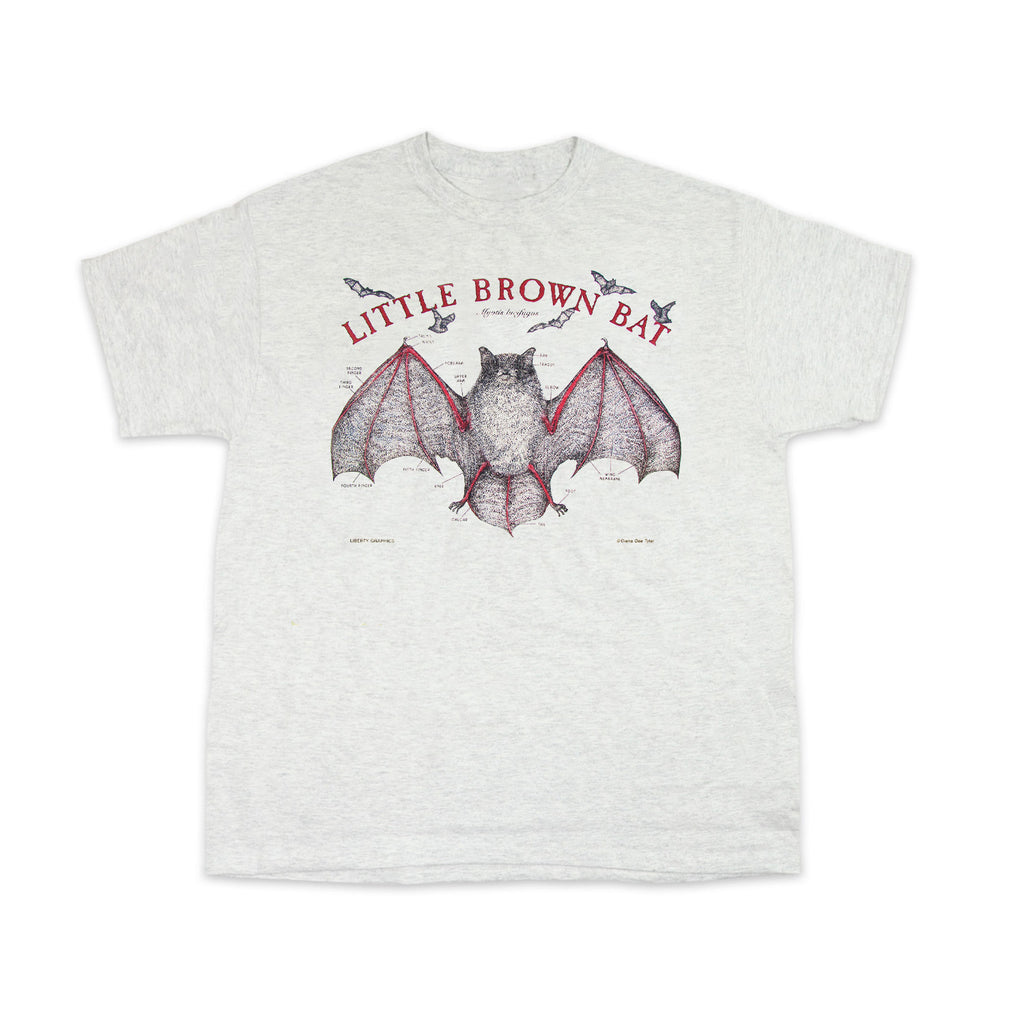 Little Brown Bat Youth Ash T-shirt