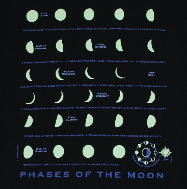Phases of the Moon Adult Black T-shirt