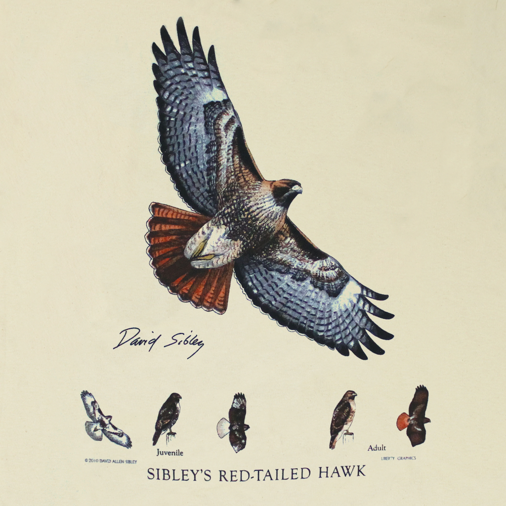 Liberty Graphics Charley Harper's Roving Raptors Youth Denim T-Shirt Small