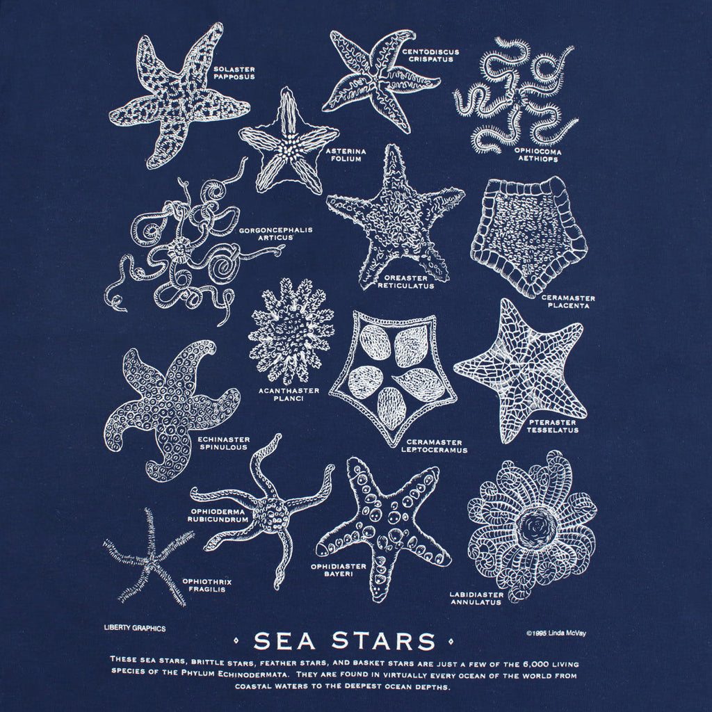 Sea Stars Adult Navy T-shirt – Liberty Graphics