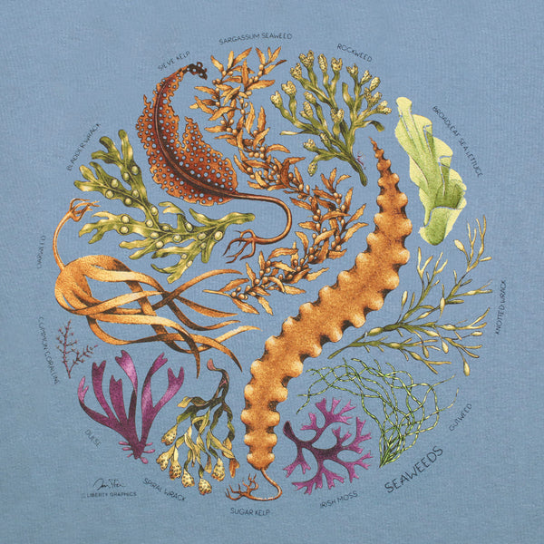 Hummingbirds Adult Natural 2-Sided T-shirt – Liberty Graphics