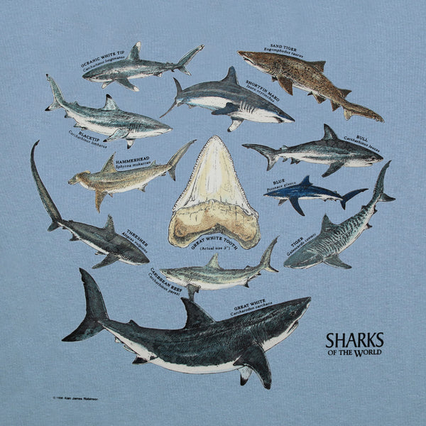Sharks Of The World Adult Stone Blue T-shirt