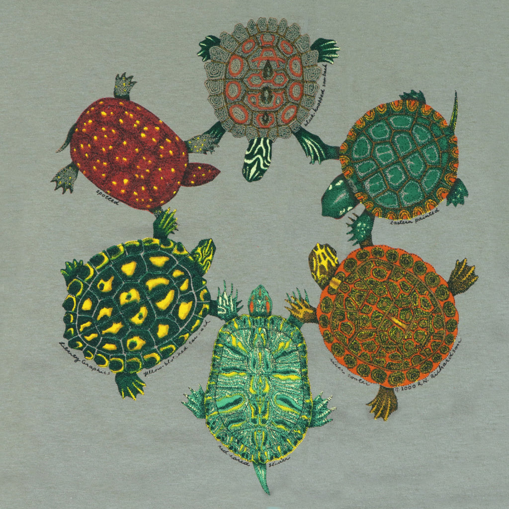 Solid Threads Take It Slow Retro Turtle Graphic T-Shirt